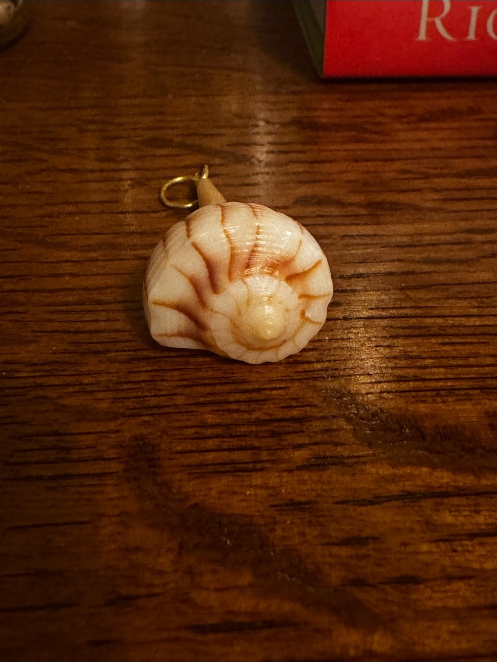 Natural Shell Pendant - Cream and Light Brown